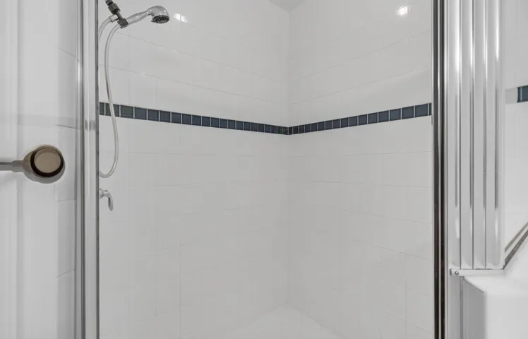 Primary Bathroom Shower