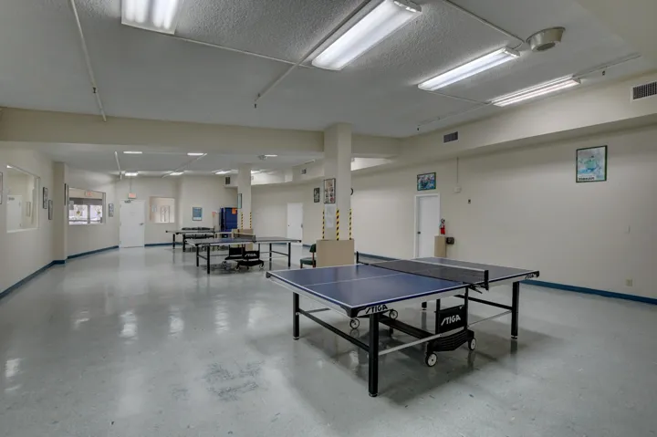 *Ping Pong Tables