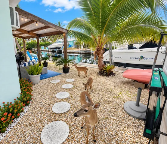 SIDE HOUSE PATIO