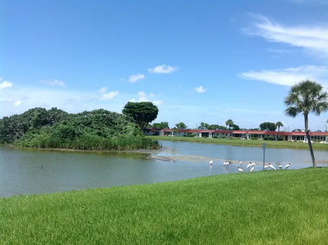 Bird Sanctuary