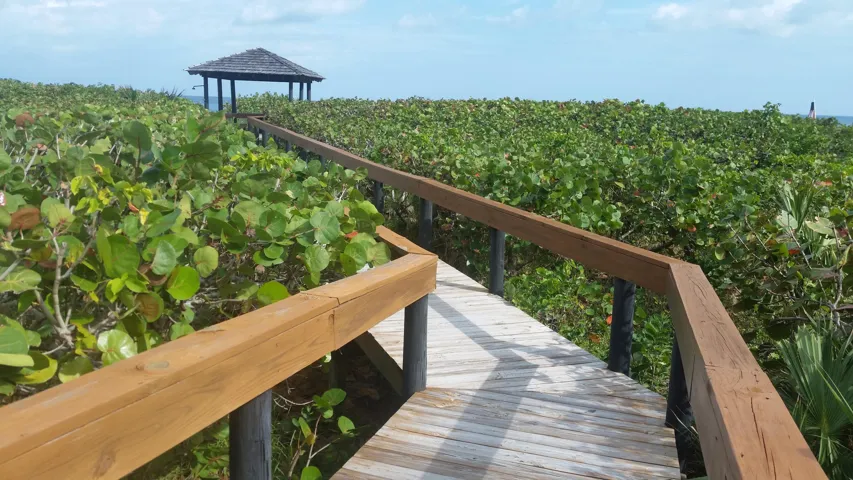 Beach Path