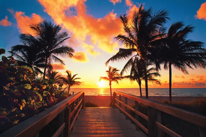 sunset