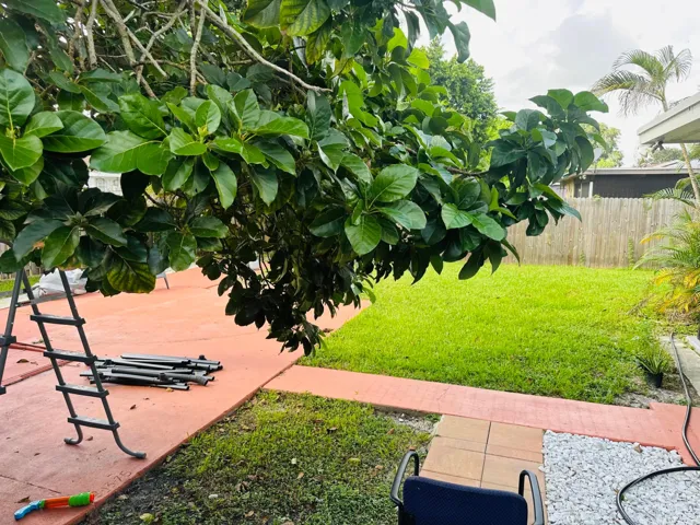 Backyard for Unit 2