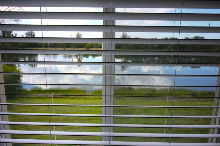 IMG_6742