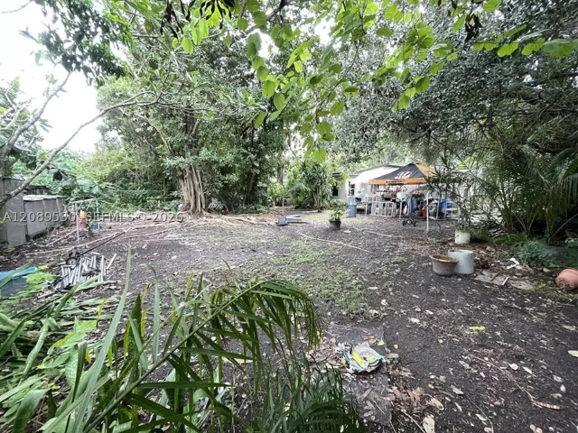 Yard