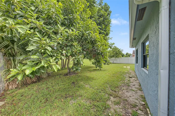 Yard