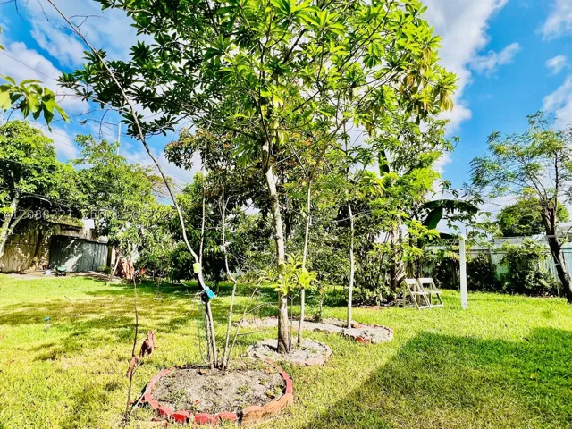 Yard