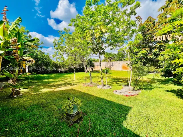 Yard