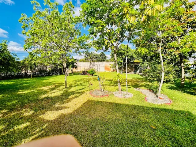 Yard