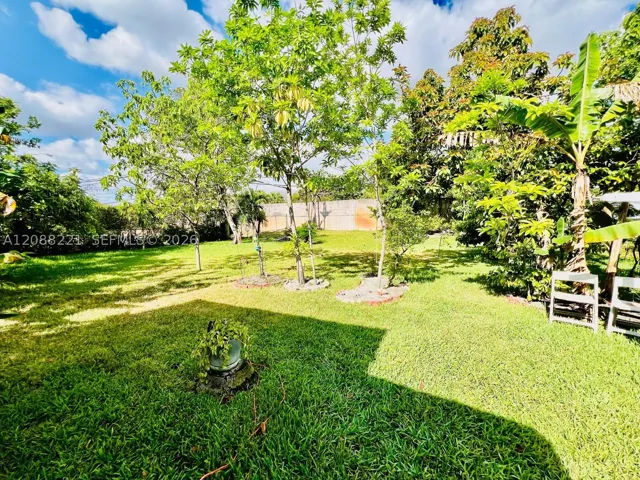 Yard