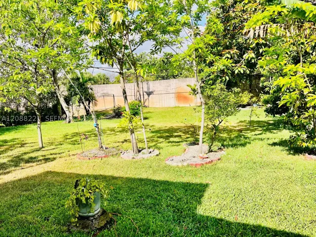 Yard
