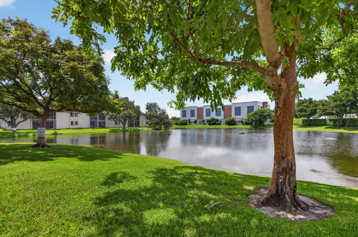 37-web-or-mls-3125-0333