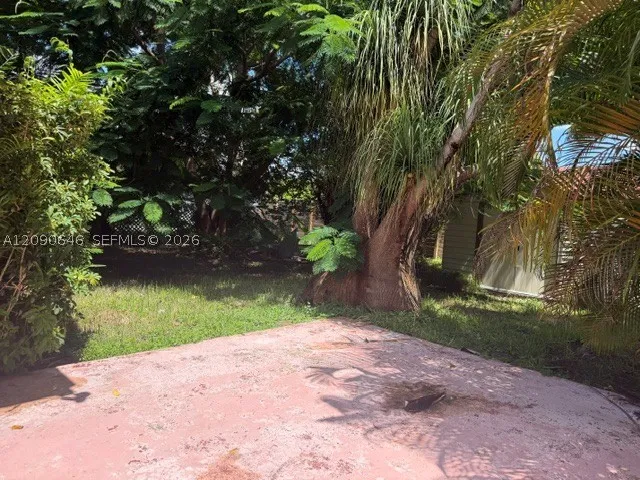 Yard
