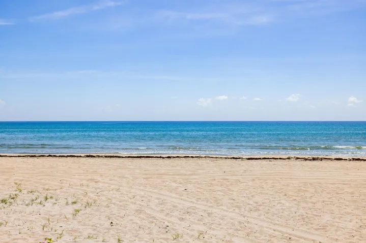 LIVE ON THE BEACH!