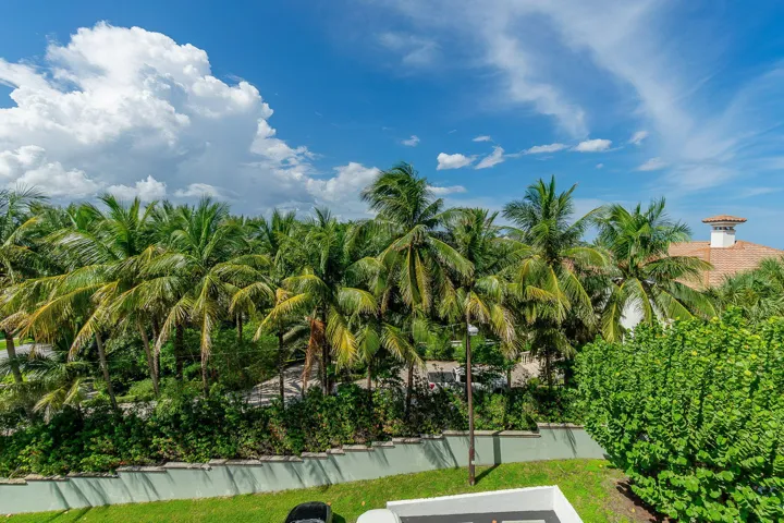 TROPICAL VIEWS FROM EVERY WINDOW