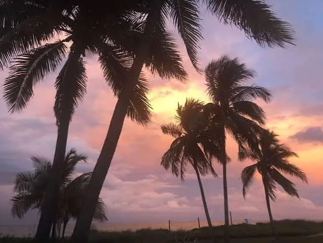 Pompano Sunrise