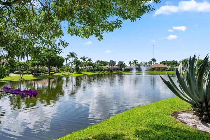 Beautiful Water Views