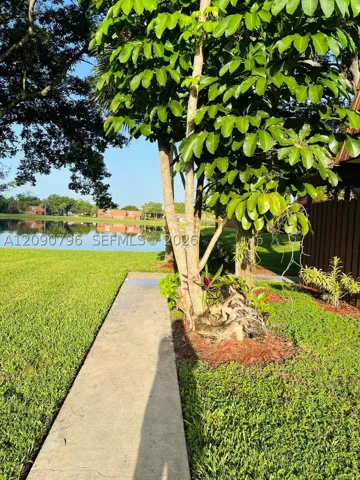 Yard