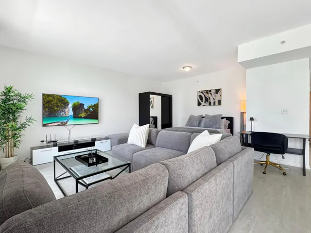 Living Room Area