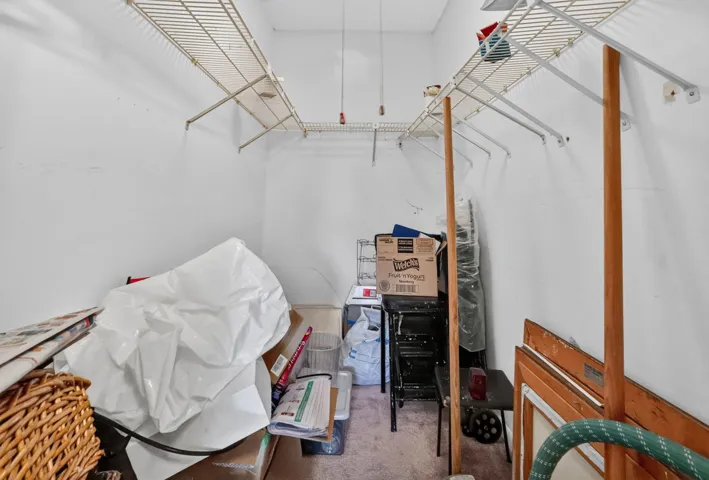 15-web-or-mls-8H3A2427