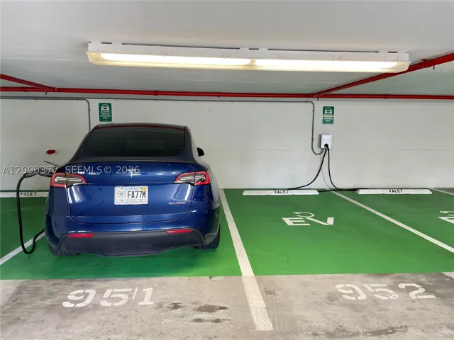 Electic Car Charging in Garage