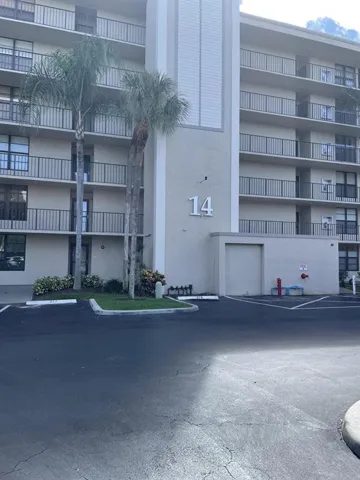 14 Royal palm