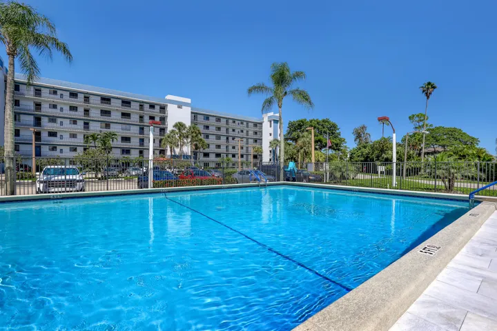 Take a dip.