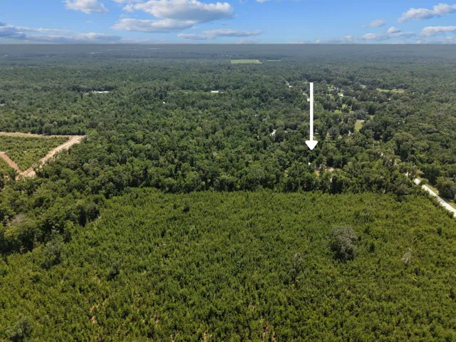 Aerial2