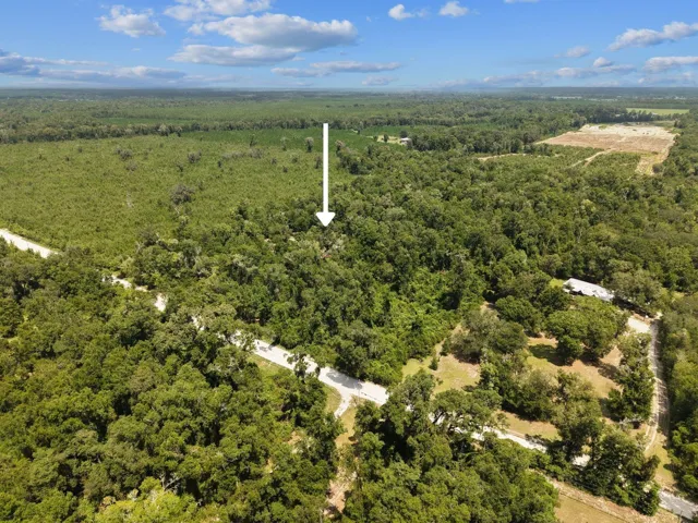 Aerial4