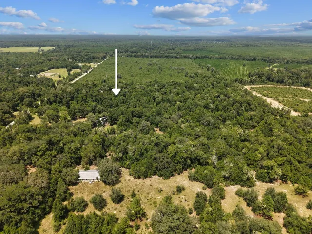 Aerial3