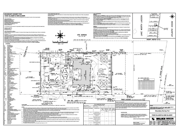Survey print