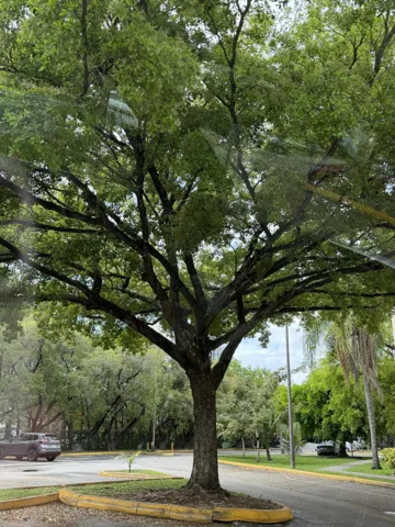 8343 Neighborhood View