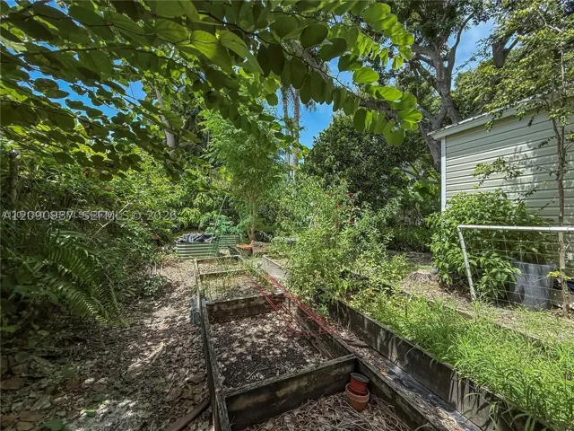 Yard