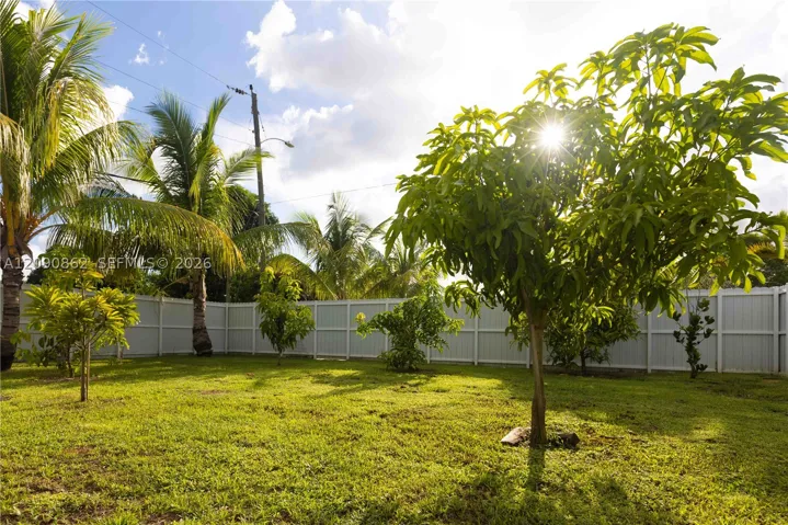 Yard