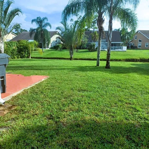 side yard