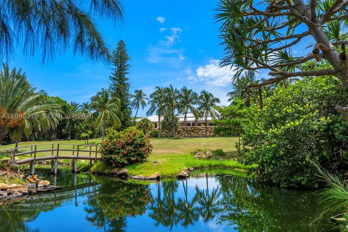 West view over the pond