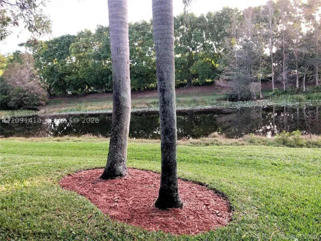 Canal view