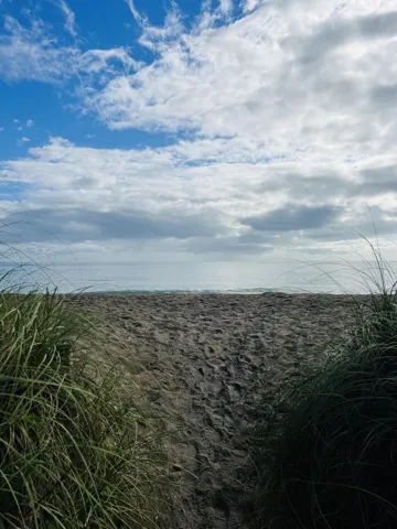 beach area