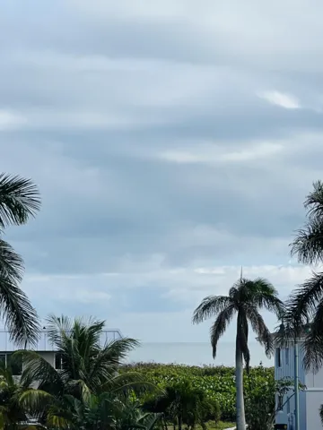 view from patio