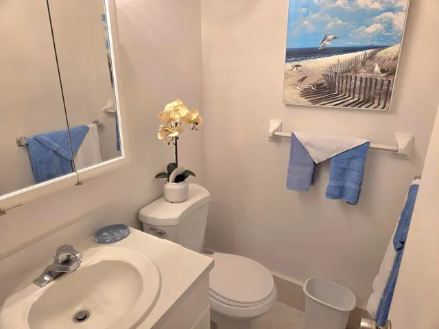 Guest Half Bath