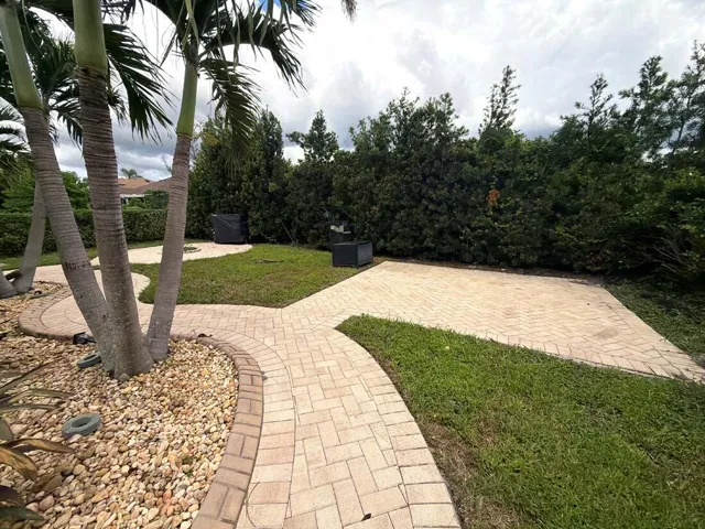 backyard view 3