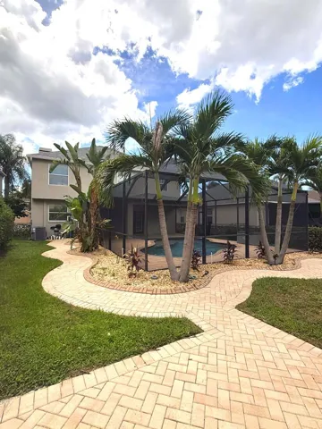 backyard view 1