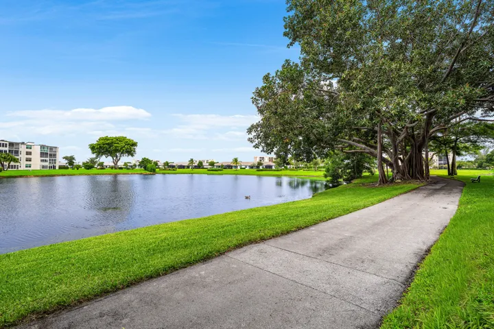 Beautiful Walking Trails!
