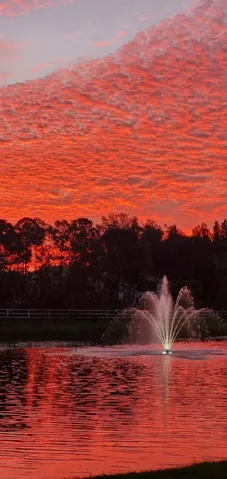 Lake and Preserve View Sunrise