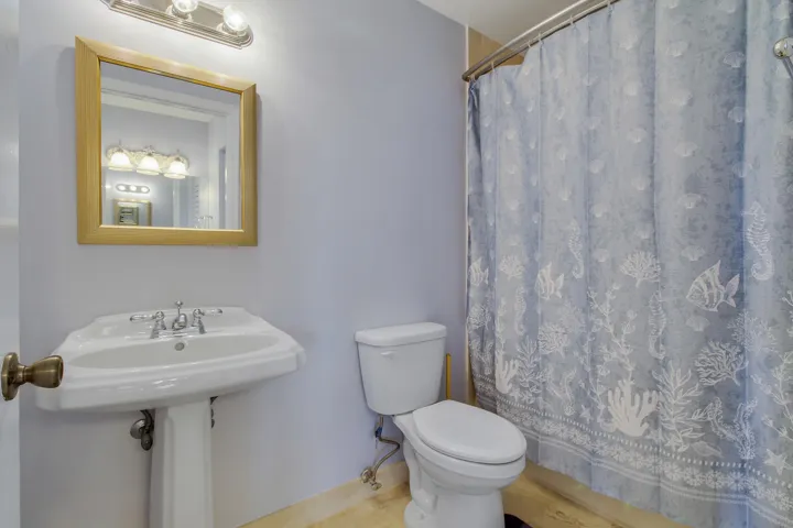 Williamsburg Master Bath Shower Tub #204