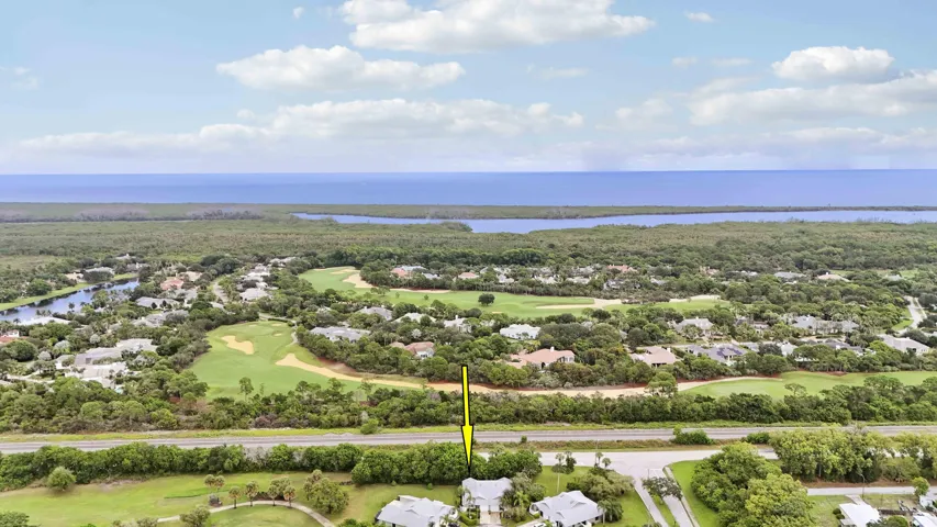 Aerial with ocean I