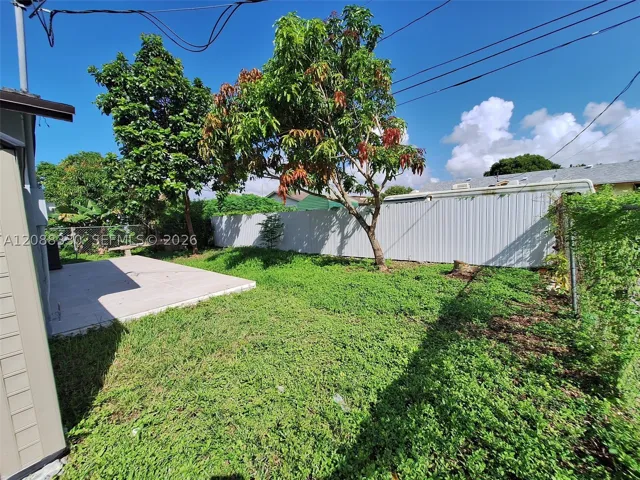 Yard