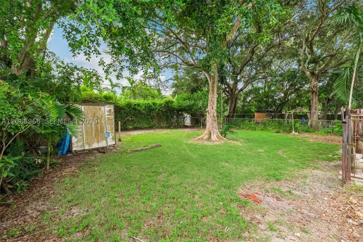 Yard