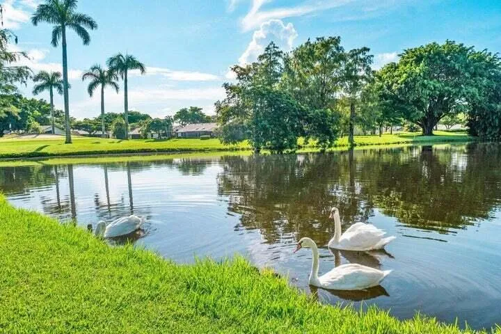 Our Treasured Swan Residents