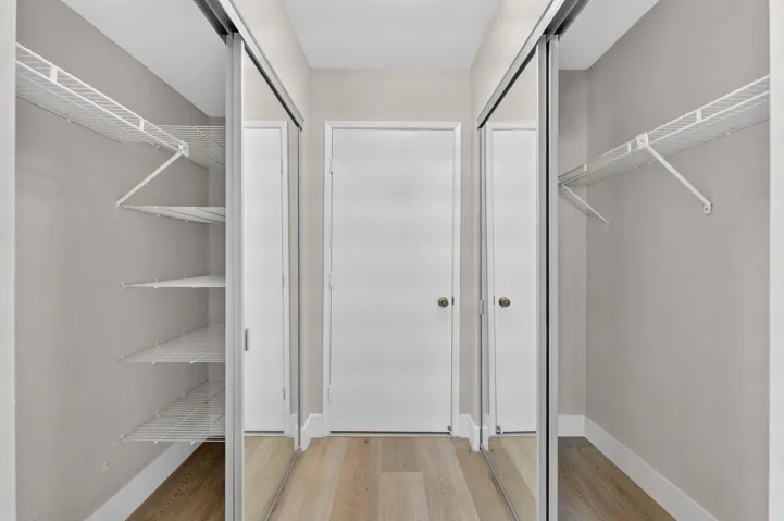 Guest BR Closet